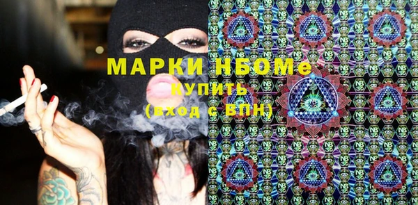 PSILOCYBIN Покачи