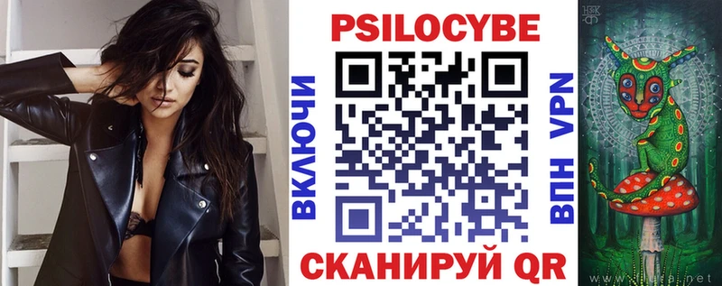 Галлюциногенные грибы Psilocybe  что такое   Оленегорск 